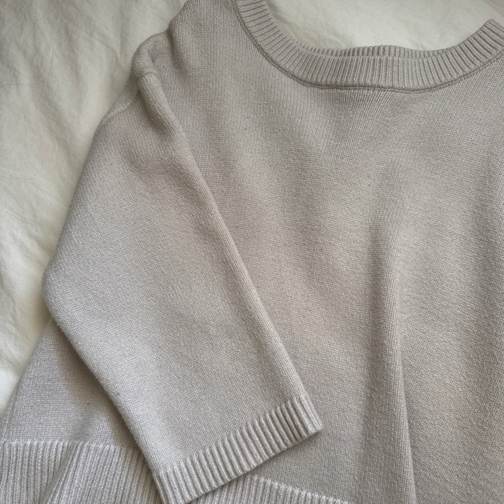 Tahari Neutral Crewneck Sweater in Light Beige